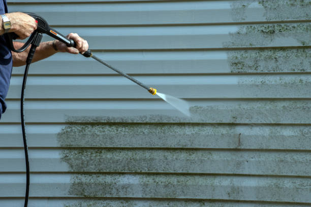 Best Roof Washing  in Pine Hill, NJ